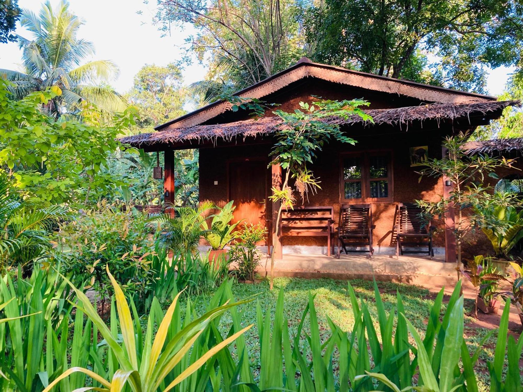 Green Paradise Cottage Udawalawa Udawalawe Ngoại thất bức ảnh