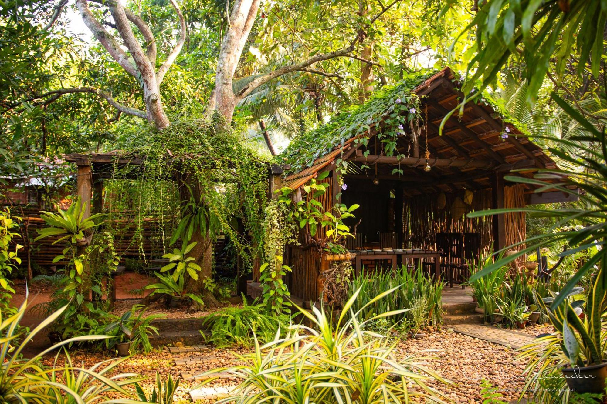 Green Paradise Cottage Udawalawa Udawalawe Ngoại thất bức ảnh