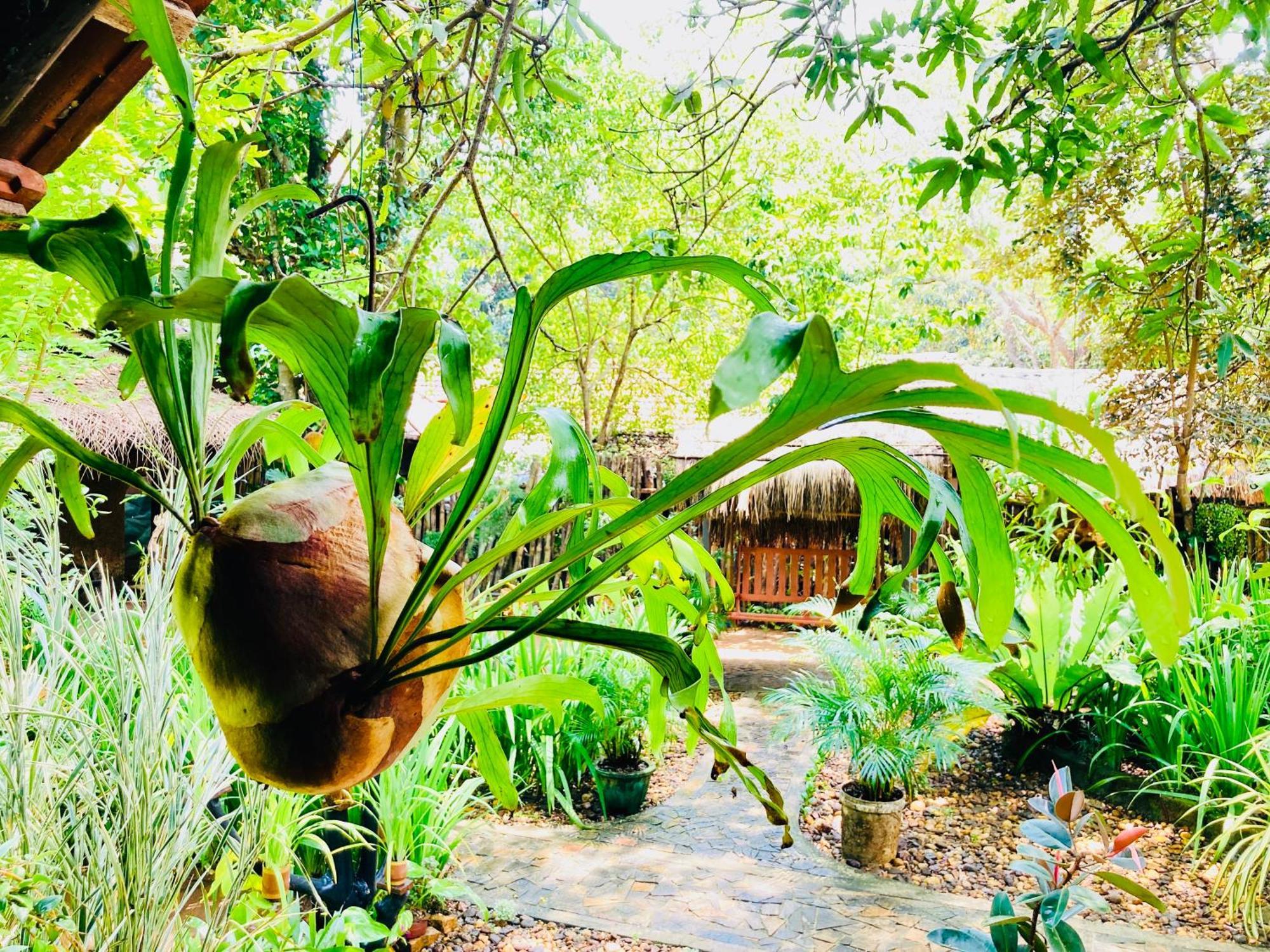 Green Paradise Cottage Udawalawa Udawalawe Ngoại thất bức ảnh