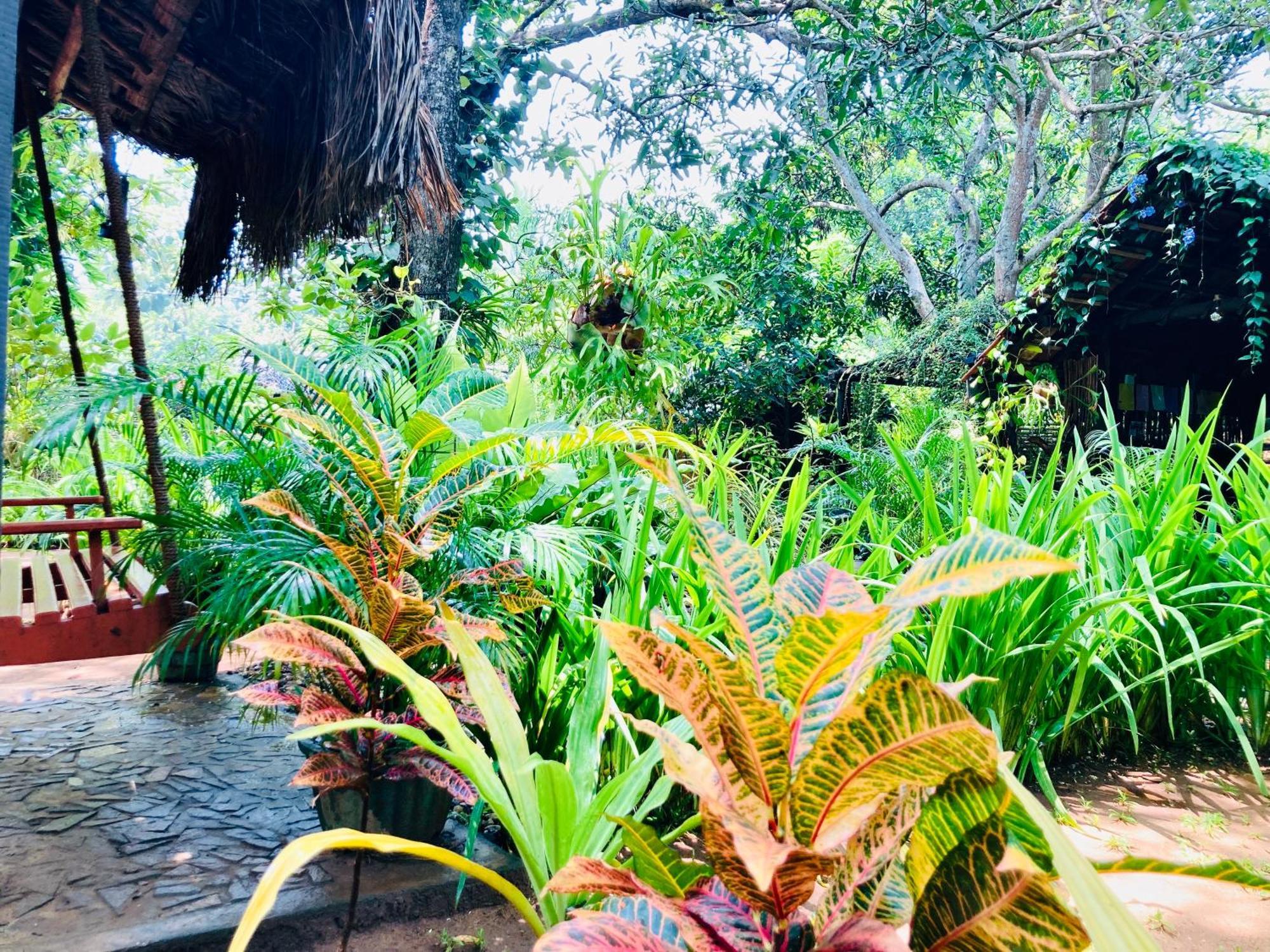 Green Paradise Cottage Udawalawa Udawalawe Ngoại thất bức ảnh