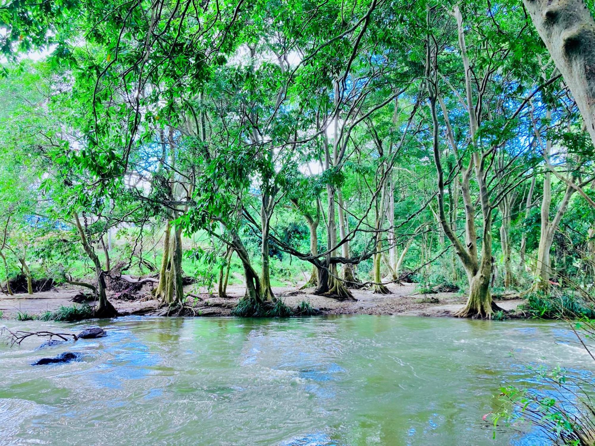 Green Paradise Cottage Udawalawa Udawalawe Ngoại thất bức ảnh