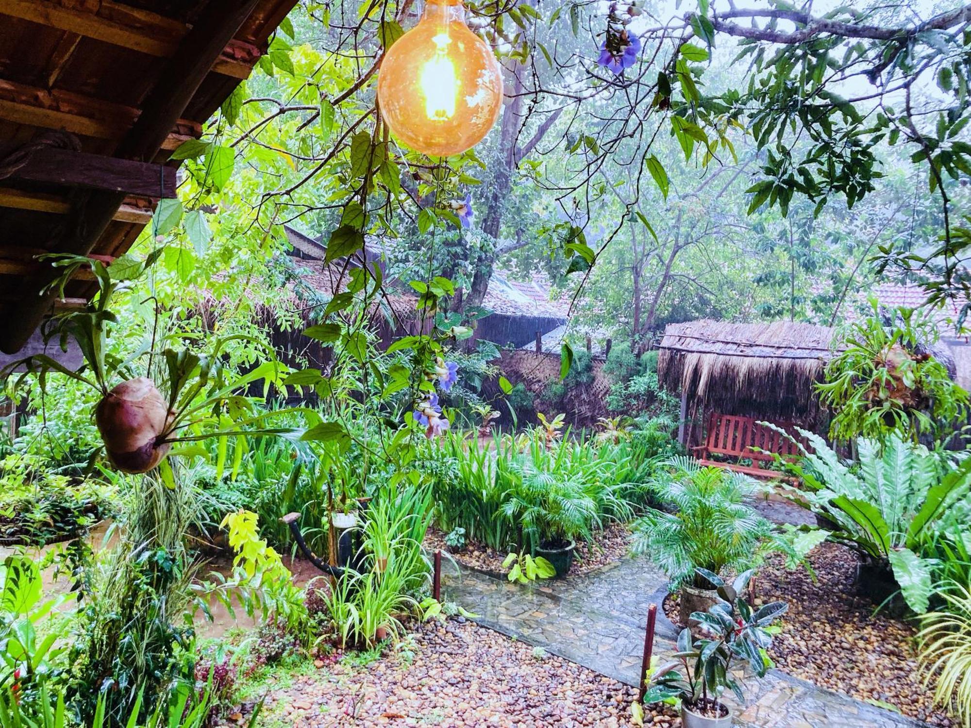 Green Paradise Cottage Udawalawa Udawalawe Ngoại thất bức ảnh